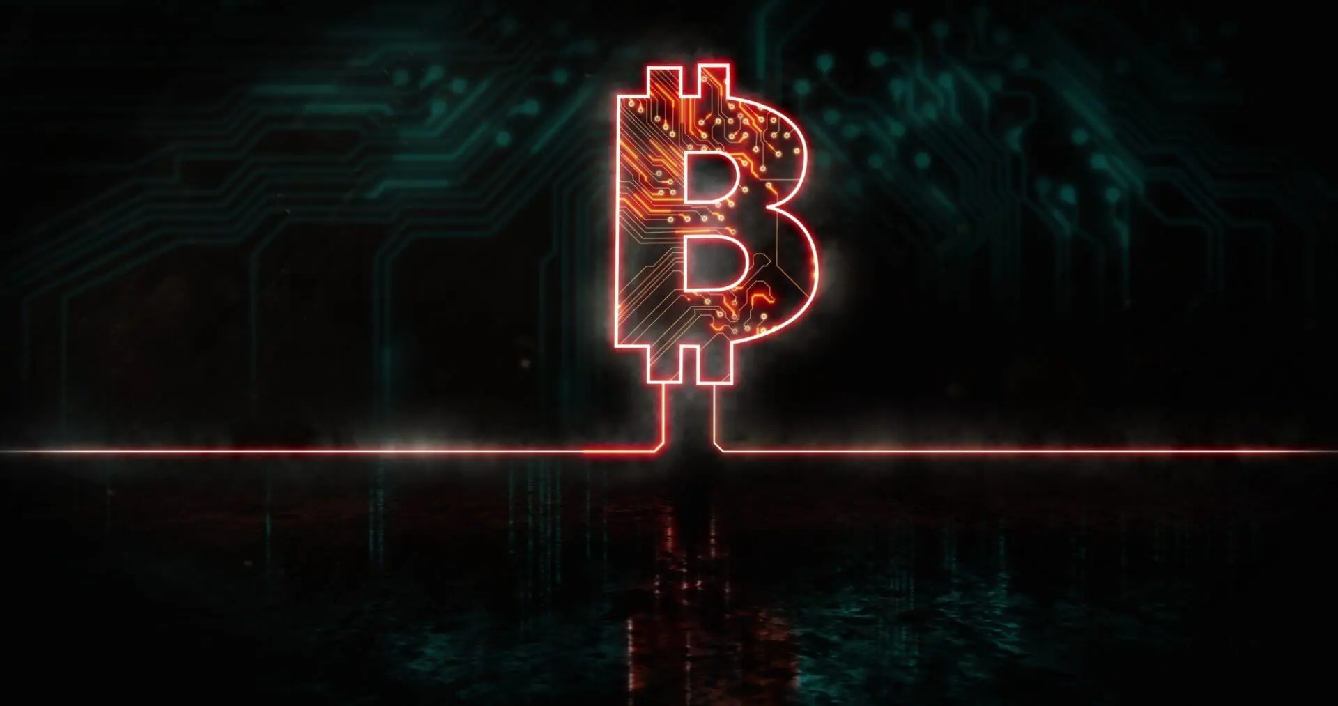 Bitcoin-Wale nehmen weniger Risiko, so der CEO von CryptoQuant