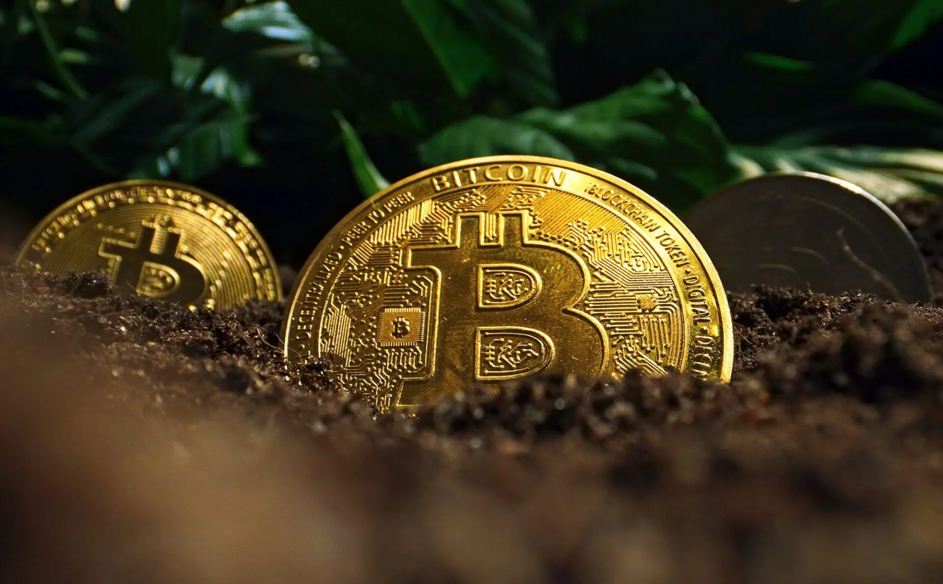 Spekulation: Michael Dell investiert in Bitcoin
