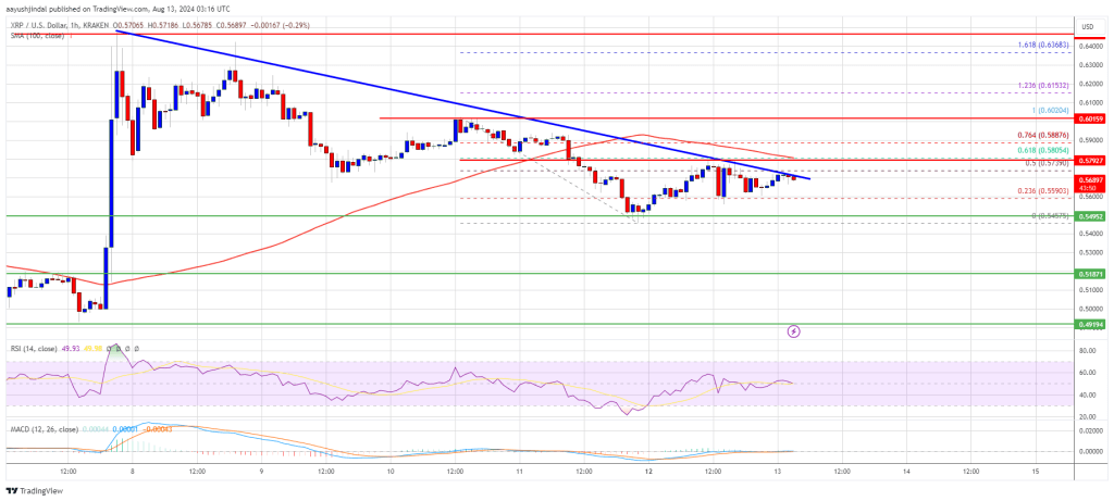 XRP Koers Analyse Grafiek