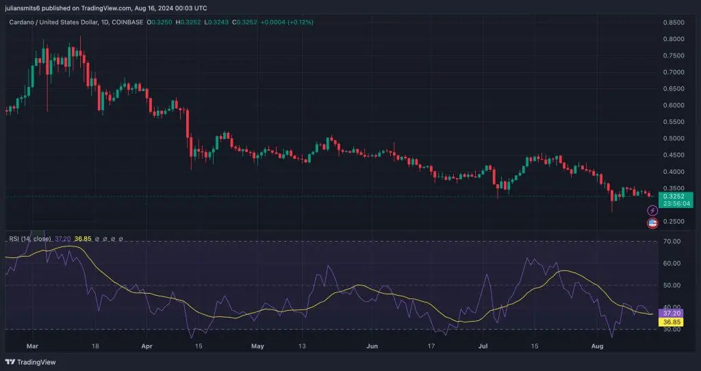 Cardano Kursbewegung August 15