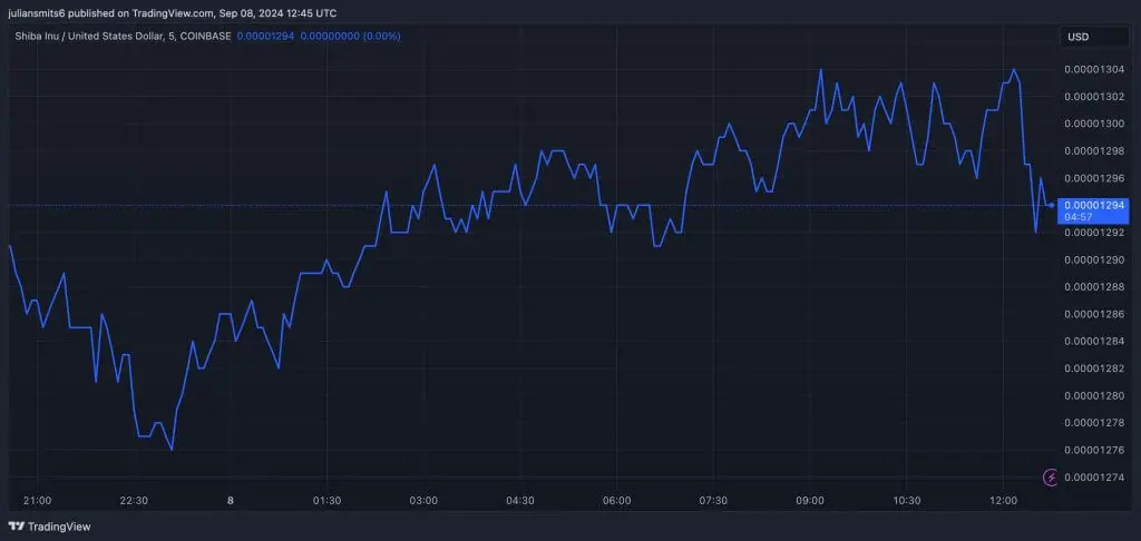 shiba inu koersgrafiek september2024