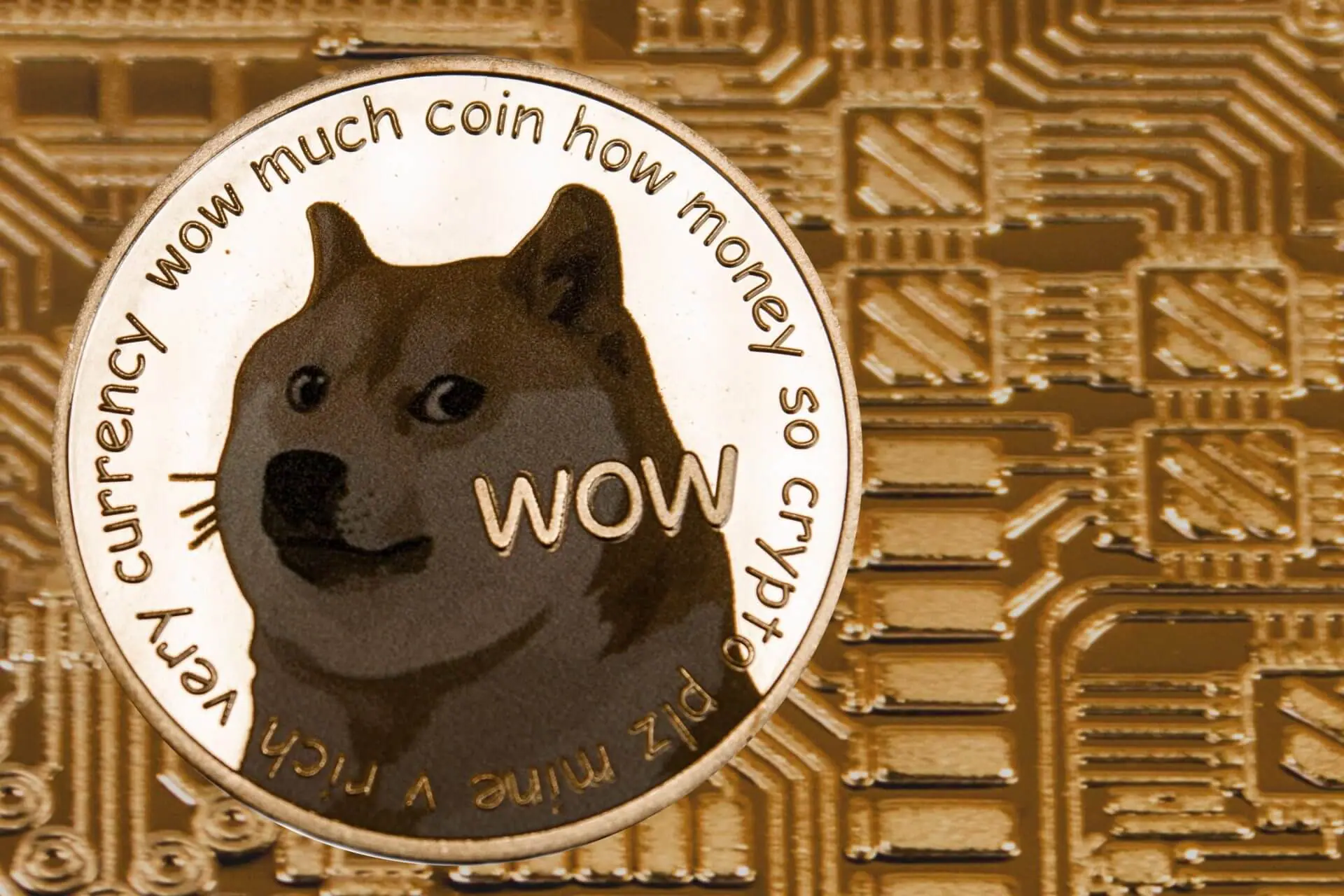 Dogecoin-Gründer möchte, dass DOGE mehr wert wird als IBM